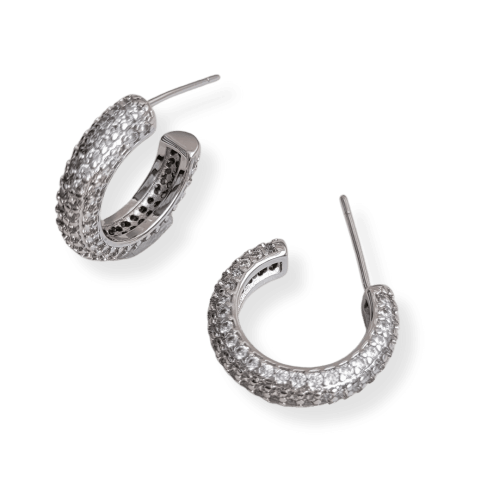 Brinco Argolinha Cravejada Micro Zircônias Banho Ródio